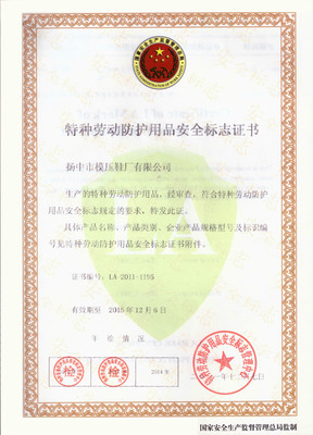 洪野牌安全防護(hù)鞋 模壓工藝打造堅固防線，網(wǎng)絡(luò)技術(shù)服務(wù)賦能高效安全